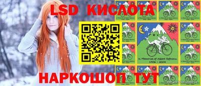 стаф Обнинск