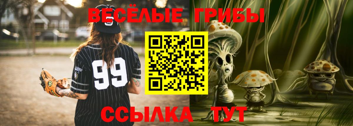 Псилоцибиновые грибы GOLDEN TEACHER  Галлюциногенные грибы прущие грибы  Ростов Великий  закладка  Вход с VPN 